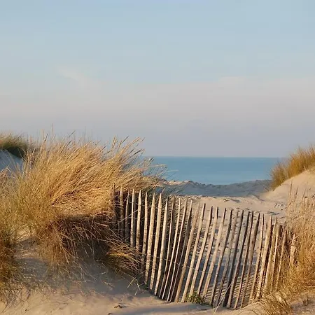 Les Coquillages 100 M Plage 4 Pers Wi-fi 別荘 *